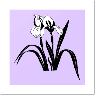 Black and White Iris Flower Posters and Art